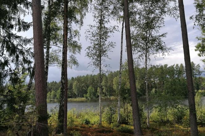 10 ciekawostek o Mazurach. Nie wiedzą o nich nawet mieszkańcy regionu [ZDJĘCIA]