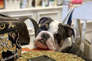 Tak mieszka Dagmara z Królowych życia