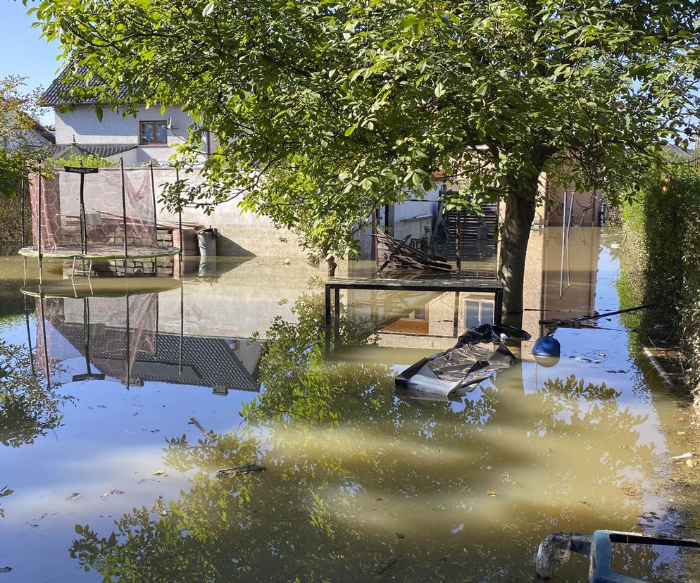 Dom po zalaniu - pierwsze godziny decydują o wszystkim! 