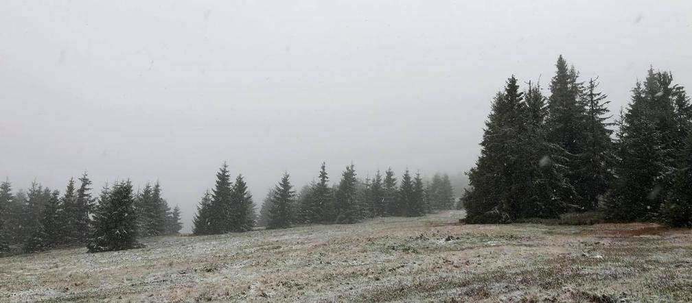 W województwie śląskim spadł pierwszy śnieg! Biały puch pojawił się w Beskidach 
