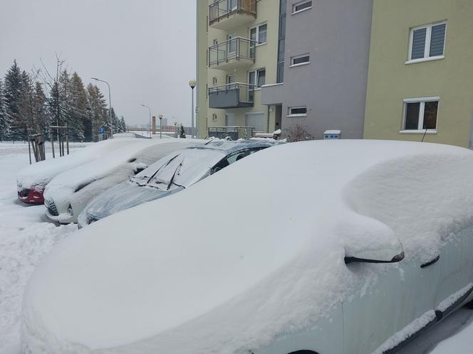 Rzeszów przysypany śniegiem [ZDJĘCIA]