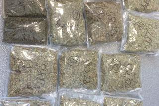 Policjanci zabezpieczyli 7 kg marihuany i 4,5 grama amfetaminy w podkrakowskim garażu