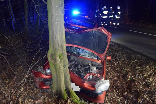 ​Kierowca fiata uderzył autem w drzewo. Wypadek na trasie Nowa Wieś-Żegrowo 