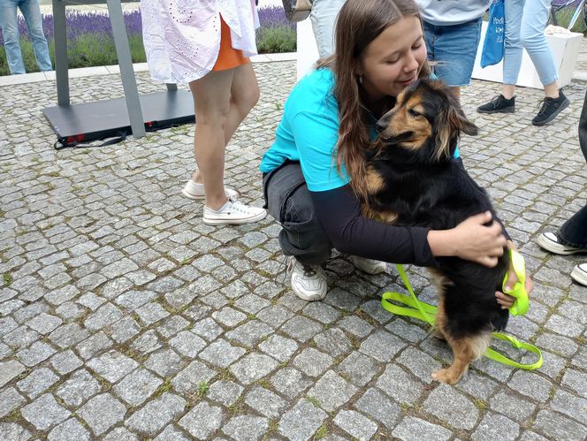 Sztuka dla zwierząt7