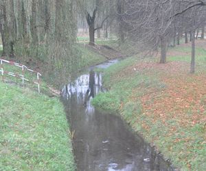 Dolina Silnicy i Zalew Kielecki jesienią