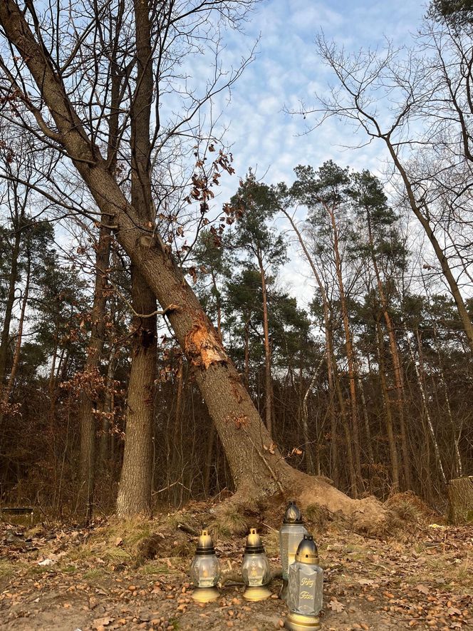  Lubelskie. Żołnierz zginął w tragicznym wypadku. Mariusz miał 32 lata. "Pozostaniesz w naszej pamięci"