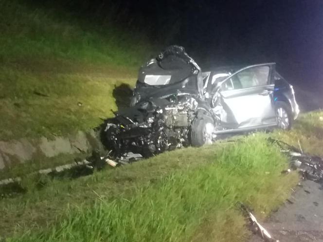 Jeleń doprowadził do tragedii w Małopolsce