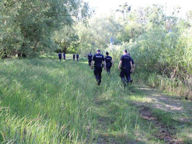 Działania służb na Wiśle w Toruniu. Straż, policja, strażnicy miejscy i grupa poszukiwawcza w akcji