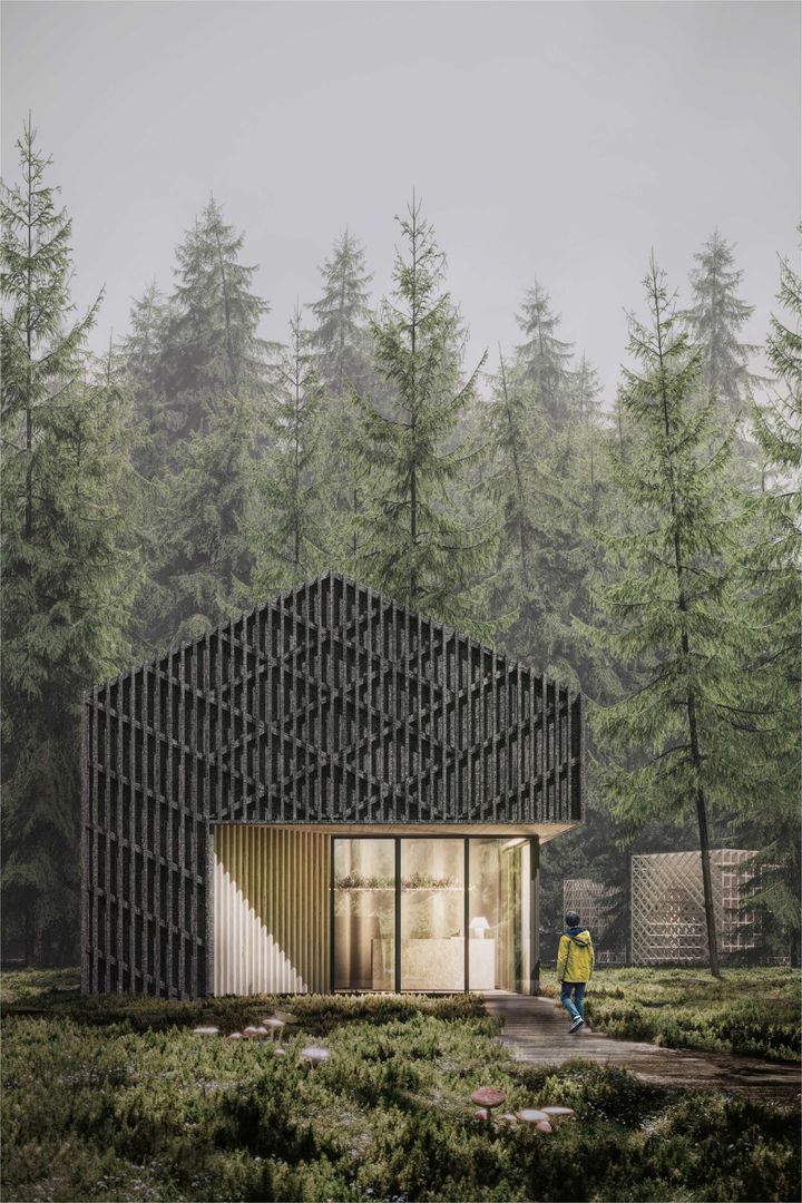 The Austra's Shelter. Wizualizacja elewacji frontowej