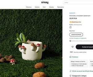 Jesień w Sinsay 2025