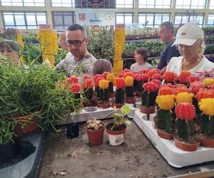 Festiwal Roślin 2025 w Siedlcach