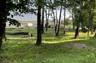 Linia tramwajowa do Mistrzejowic. Protest ws. wycinki drzew w Krakowie