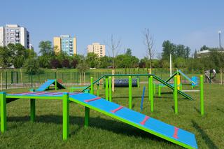 Park psiej aktywności w Sosnowcu