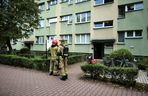 Zadymienie