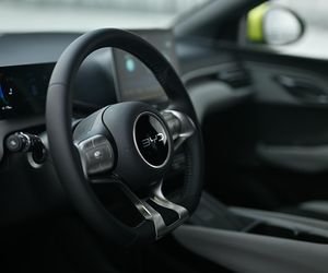 BYD DOLPHIN SURF