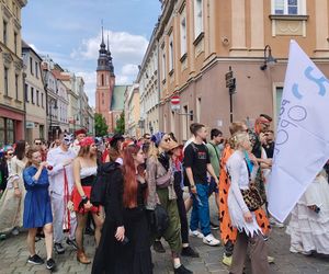 Żakinada 2025 