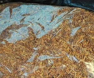 Kilkadziesiąt kilogramów nielegalnego tytoniu nie trafi do sprzedaży