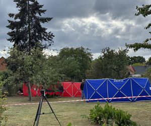 Wypadek awionetki w Krzycku Wielkim