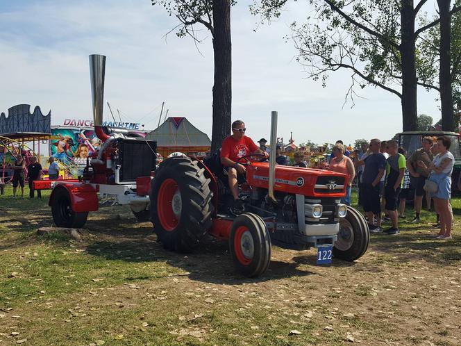 Festiwal starych ciągników w Wilkowicach. Setki maszyn, tysiące widzów i upał