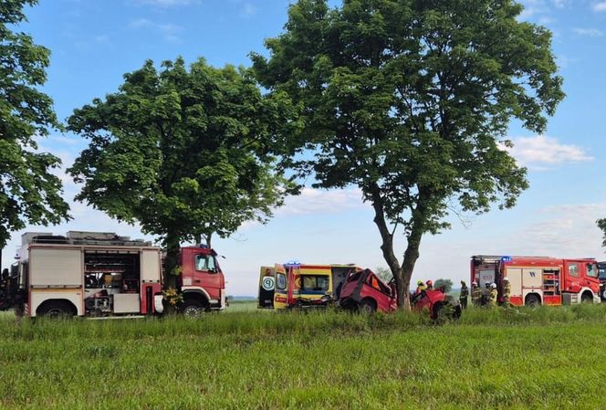 Śmiertelny wypadek pod Bolesławcem. Nie żyje 52-letni kierowca busa