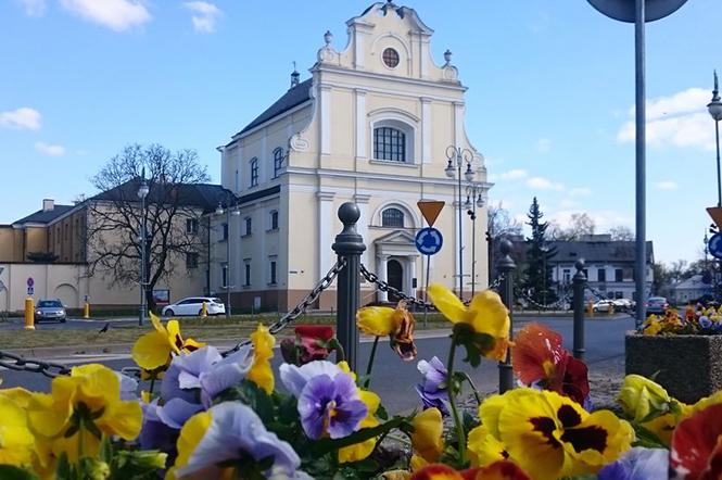 Zuk rozpoczął wiosenne nasadzenia kwiatów