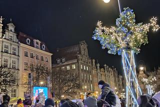 Gdańska choinka rozbłysła. Zobaczcie nasze zdjęcia!