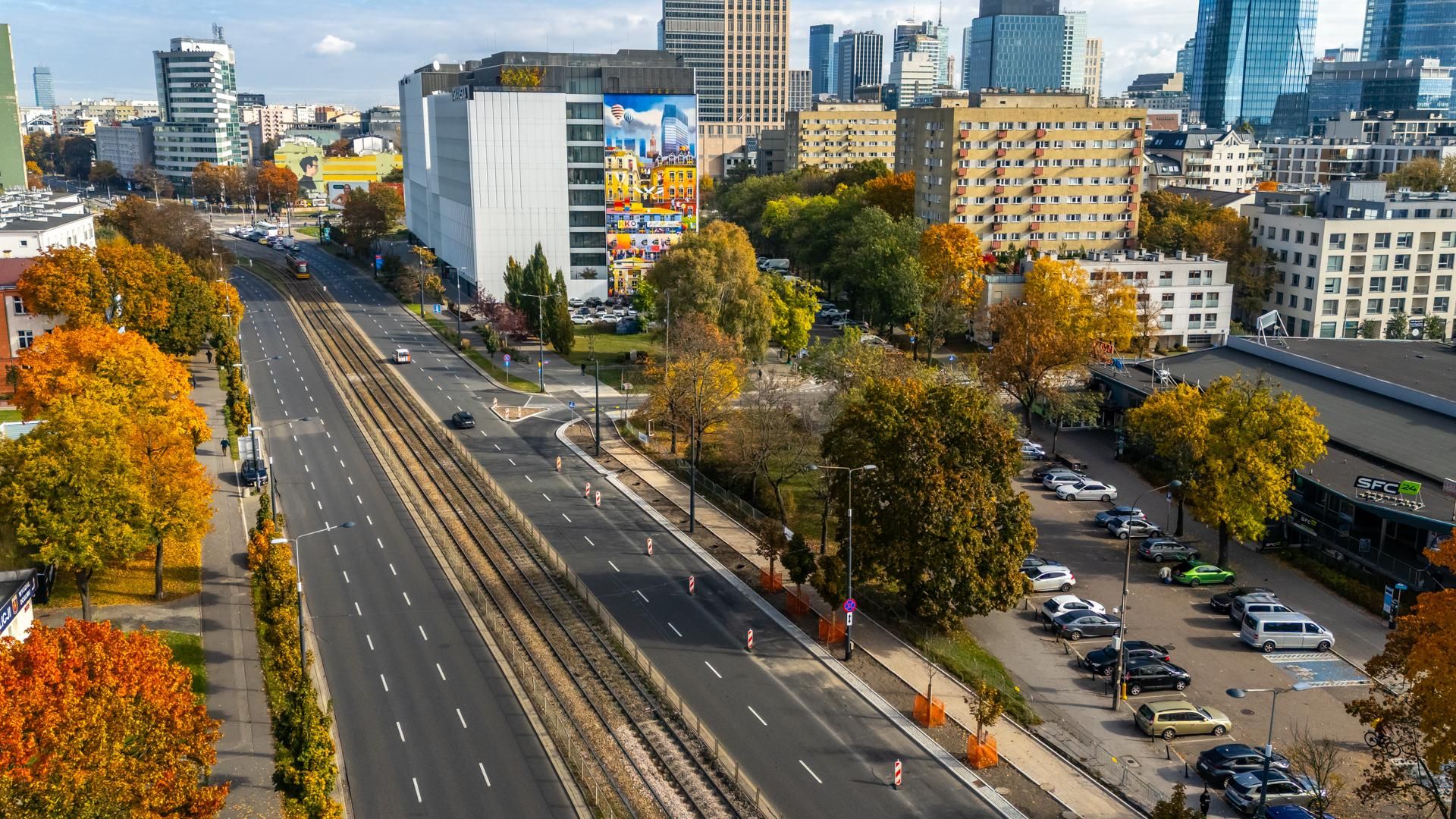 Serek wolski w Warszawie