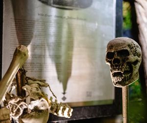 Willa na Jaśkowej Dolinie w Gdańsku