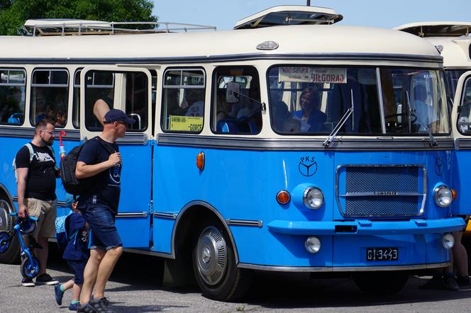 Zlot zabytkowych autobusów 2022 w Bydgoszczy [ZDJĘCIA] 