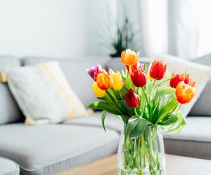 Tulipany do wazonu: jak ścinać kwiaty z ogrodu? [Porada eksperta]