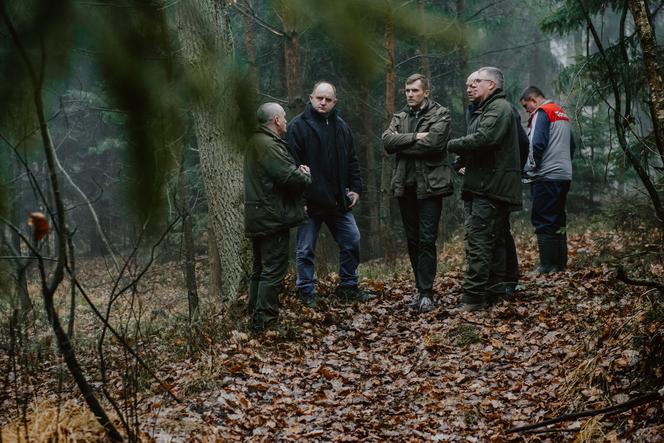 Przed Urzędem Marszałkowskim w Toruniu stanie dwudziestometrowa choinka