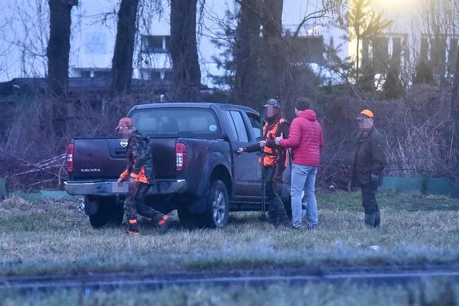 Myśliwi z długą bronią na ramieniu w środku toruńskiego osiedla przepędzali watahę dzików!