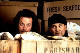 Kevin sam w Nowym Jorku