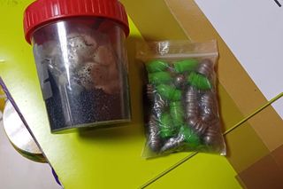 24-latek złapany za rozboje na terenie Warszawy i okolic