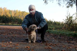 PIESEK URATOWAŁ PANA PRZED BYKIEM