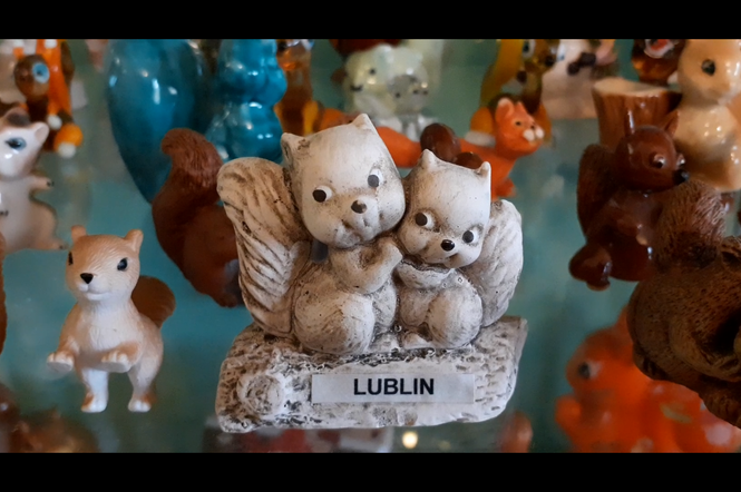 Jedyne takie muzeum znajduje się w Lublinie. Tam wiewiórki są mile widziane [WIDEO]