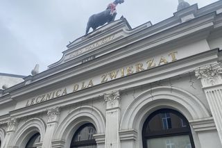 Kamienica Pod koniem