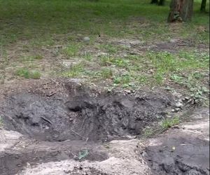 Urządzili sobie tor przeszkód w zabytkowym parku