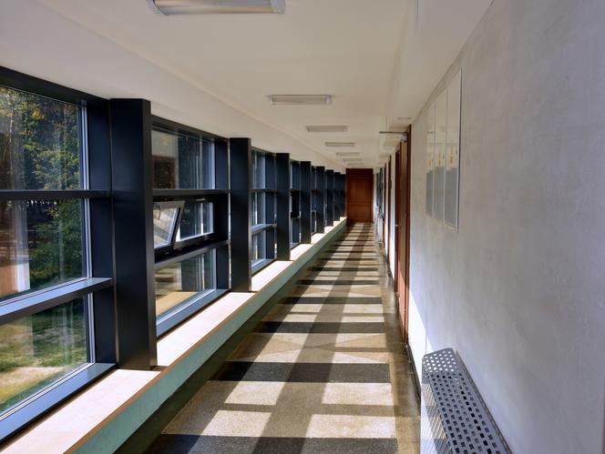 METAMORFOZA SZKÓŁ ARTYSTYCZNYCH