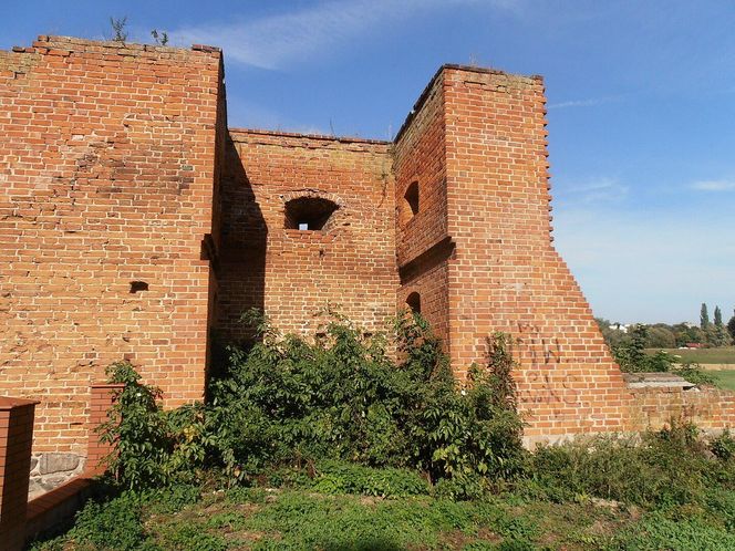 Świecie