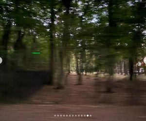 To nie żart! Wielka gwiazd w polskim barze mlecznym