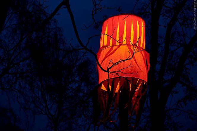 Lublin: Świąteczne iluminacje już działają! Podobają się Wam? [GALERIA]