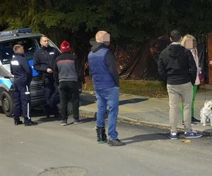 Właścicielka urządziła zwierzętom prawdziwy horror. W takich warunkach ich trzymała. Niektóry były żywcem zjadane przez robaki