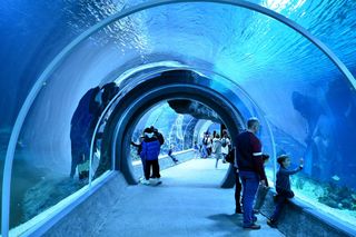 To polskie miasto bije rekordy popularności wśród turystów. W lutym otworzy się tu jeden z największych parków rozrywki w Europie