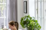 Pilea peperomioides, czyli kwiat pieniążek