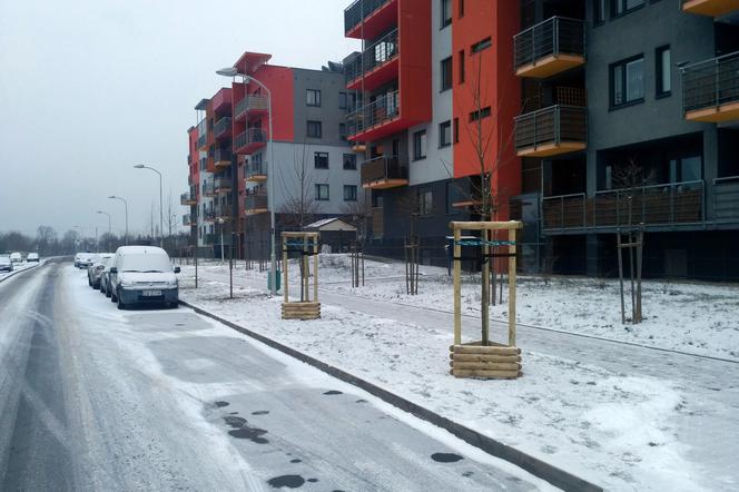 Drzewka na Cynamonowej posadzone w złym miejscu