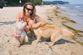 Nie wkurzaj ludzi! Idź z pupilem na psią plażę!