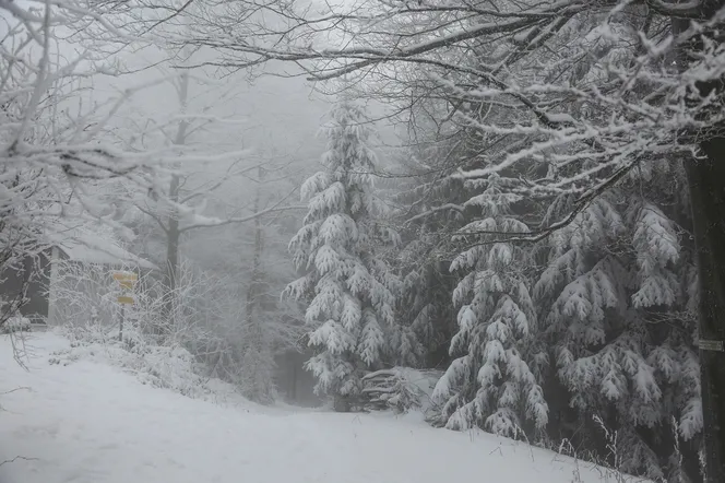 Mróz nawet -10°C! Do tego śnieg i wichury. Stanie się jeszcze to!  