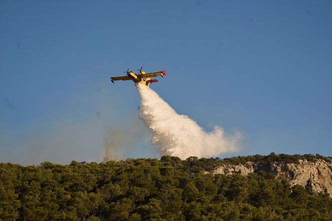 Pożary w kurortach wróciły! Gdzie wakacje mogą być niebezpieczne?