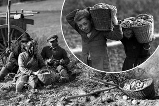 Jak w Znachorze, ale bez happy endu. Tak naprawdę żyła polska wieś w II RP